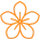 portfolio icon